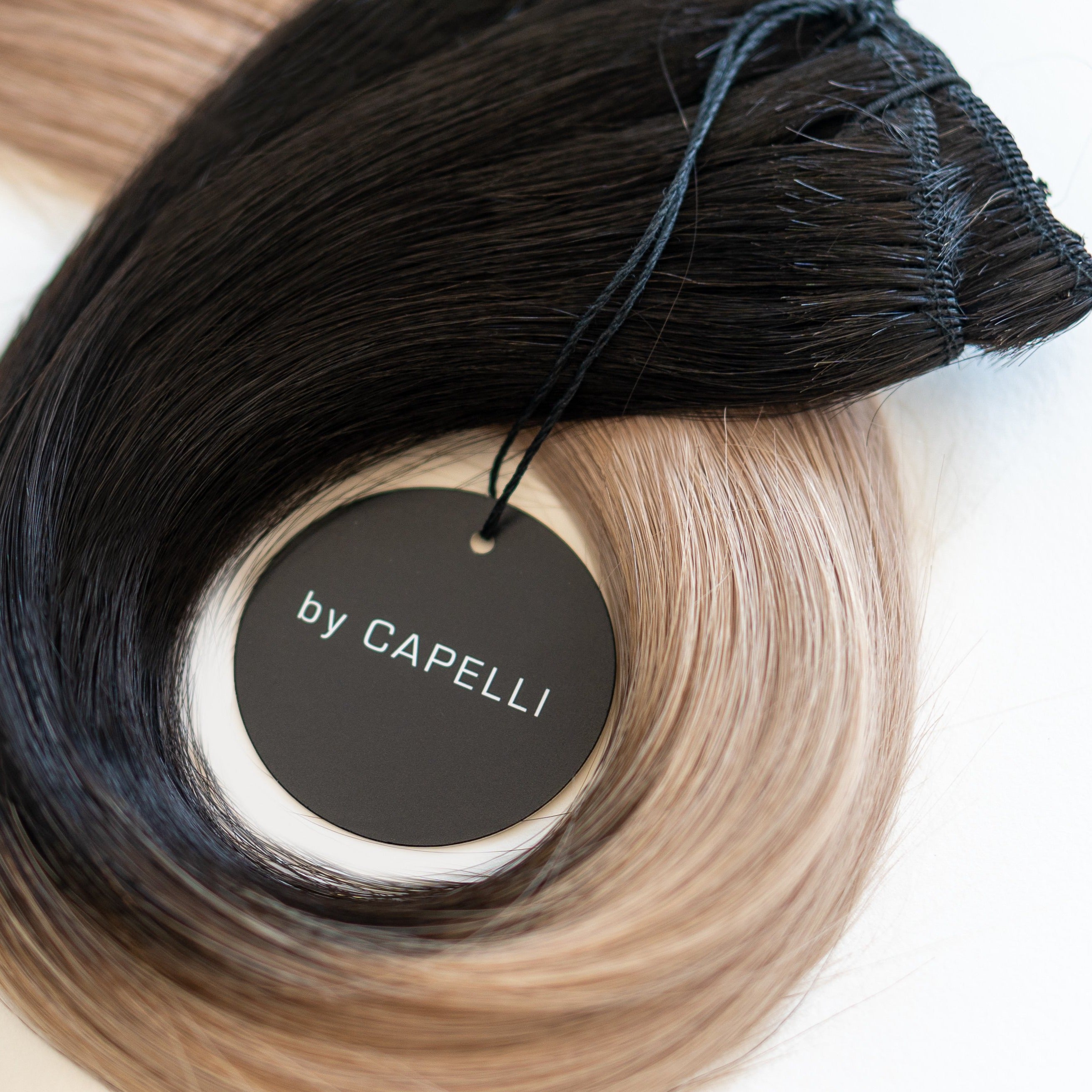 Clip-Ins by Capelli